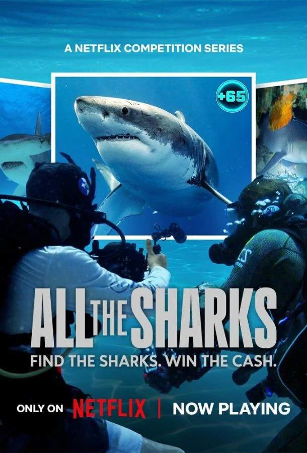 Постер Все акулы