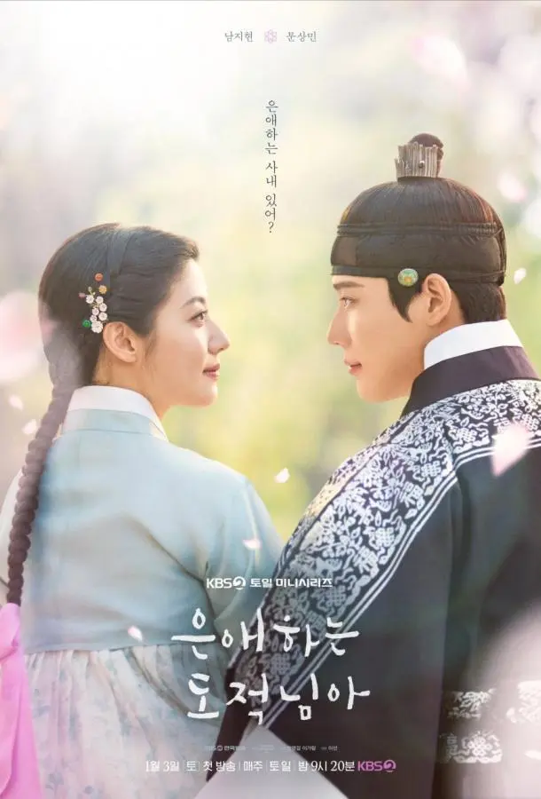 Постер Мой любимый вор